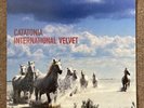 Catatonia International Velvet Blanco Y Negro Vinyl Record Original Release