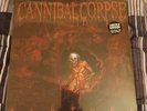CANNIBAL CORPSE - TORTURE / CLEAR w/ RED SPLATTER Vinyl Record LP NEW OOP ●READ●