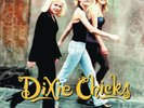 DIXIE CHICKS WIDE OPEN SPACES [LP] NEW VINYL