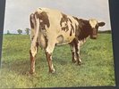Pink Floyd 'Atom Heart Mother' UK LP 1st press A-1G / B-1G NO EMI.
