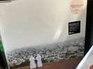 Death Cab For Cutie Asphalt Meadows Sealed Limited Numbered Pink Vinyl VMP