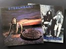 STEELHEART - Tangled In Rein with 4 Pages booklet, Rare Korean 8 Tracks LP