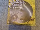 the grateful dead Dark Star 7