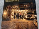 Blossoms National Album Day Exclusive Orange Blossoms Vinyl Record New Sealed
