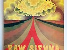 Savoy Brown Raw Sienna Decca South Africa