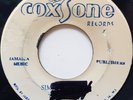 45 SKA / BOB MARLRY & THE WAILERS / SIMMER DOWN / COXSONE / LISTEN