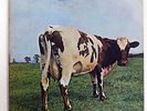 PINK FLOYD ATOM HEART MOTHER ODEON OP80102 JAPAN RED VINYL PROMO VINYL LP