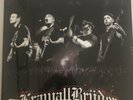 Krawallbrüder 15 Jahre Live In Berlin Lp