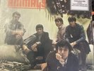 Best of the Animals by The Animals - Record Clear Vinyl-Mint Played Once