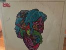 Love Forever Changes Elektra original psych garage