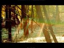 Childish Gambino - Camp Vinyl RECORD