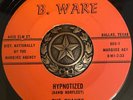 The Chants-Hypnotized/Elaina B.WARE-TEXAS GARAGE 45 Rare Listen/Hear
