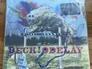 BECK - ODELAY - 2008 - 4xLP DELUXE EDITION VINYL - #1797/3000
