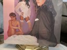 Vanity 6 Self Titled LP Record Ultrasonic Clean Warner Bros 1-23716 brand new