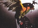 BUDGIE IN FOR THE KILL  NEW LP