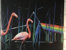 Pink Floyd - The Dark Side of the Moon - Demo LP