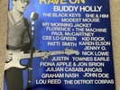 Rave On Buddy Holly - 2 X LP by Various Artists (Record, 2011)