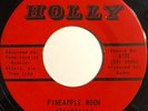 The Torquays - Pineapple Moon - HOLLY Label - ***Near Mint***
