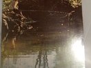 Mose Allison CREEK BANK (new sealed record)