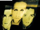The Wild Swans Bringing Home the Ashes (Vinyl) (UK IMPORT)