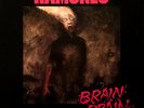 Ramones - Brain Drain LP NEW YORK DOLLS THE BABOON SHOW ADOLSECENTS