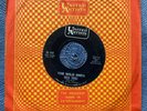 THE WILD ONES - WILD THING rare USA 1965 RARER STOCK COPY / GARAGE PUNK / EX+++