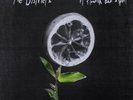 Districts, The - A Flourish And Spoil NEW Sealed Vinyl LP Album