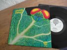 CATAPILLA CHANGES IN 1972 MINT-  Lp  VERTIGO SWIRL Psych Prog