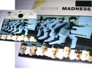 DIVINE MADNESS LP - SIMPLY VINYL 1996 REISSUE - suggs 2 tone ska stiff KIX79