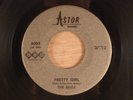 The Bugs Pretty Girl/Slide RARE  Garage Punk 1967 Astor Records