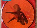 Alice In Chains ‎– The Devil Put Dinosaurs Here 2xLP Picture Disc - Unplayed