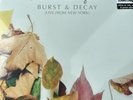 The Wonder Years 'Burst & Decay Live from New York' RSD 2023 COLOR Vinyl x/3000