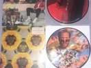 Vinyl 12