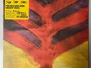 Yeah Yeah Yeahs / Show Your Bones Vinyl Original Pressing 2006 | Near Mint