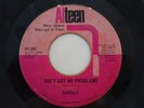 SUNDAY AIN'T GOT NO PROBLEMS 45 WILDLY RARE 1969 NORTHERN SOUL GROOVER ON ALTEEN