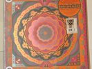 Grateful Dead - Boston Garden 1977 - Vinyl LP RSD 2023