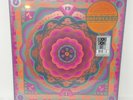 Grateful Dead Boston Garden MA 5/7/77 Live 180G Vinyl Box Set 2023 RSD Exclusive