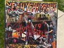 Yeah Yeah Yeahs - Fever To Tell Vinyl LP, 2017 Reissue Remastered NM