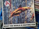 The Stone Roses what the world is waiting for FOOLS GOLD 12