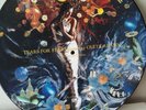 Tears For Fears - Woman In Chains - Limited Vinyl 12