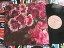 BIFF BANG POW The Girl Who Runs The Beat Hotel ORIGINAL UK LP