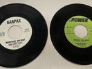 Frankie Stein & His Ghouls Goon River & Weerdo The Wolf & Bobby Pickett 45