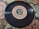 PRE-RAMON & THE CRYSTALITES - PSYCHEDELIC TRAIN CHAPTER THREE/ LADY MADONNA/ 45