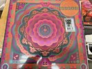 GRATEFUL DEAD BOSTON  7/7/77  LIMITED 5 LP RECORD STORE DAY 2023 NEW