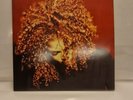 Janet Jackson - The Velvet Rope 1997 2xLP UK ORGINAL EX-/EX+