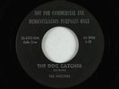 Garage Rockabilly 45 - Jaguars - Dog Catcher/Railroad Drag - rare original