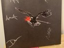 The Airborne Toxic Event Vinyl LP Record Box Set *Signed