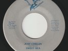 SWEET BEA Just Chillin JOHNNY ACE PRODUCTIONS detroit outsider boogie rap