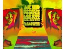 Acid Mothers Temple Paralysed Genius Brain Vinyl RSD 2023 Record Store Day