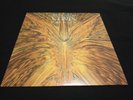 Cynic  Focus LP Black Vinyl Record REISSUE OFFICIAL Roadrunner Records MINT